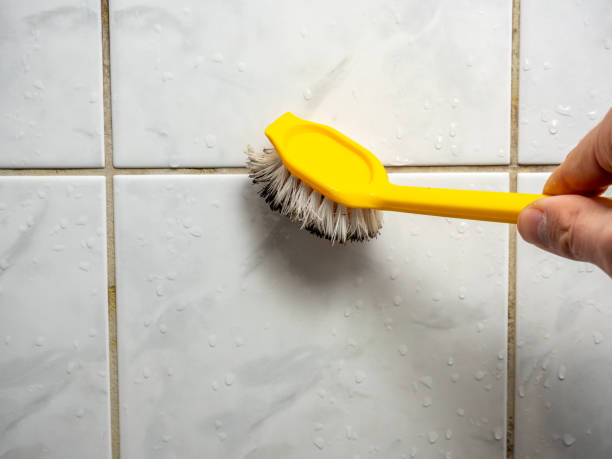 Best Commercial Mold Remediation in Abbeville, SC